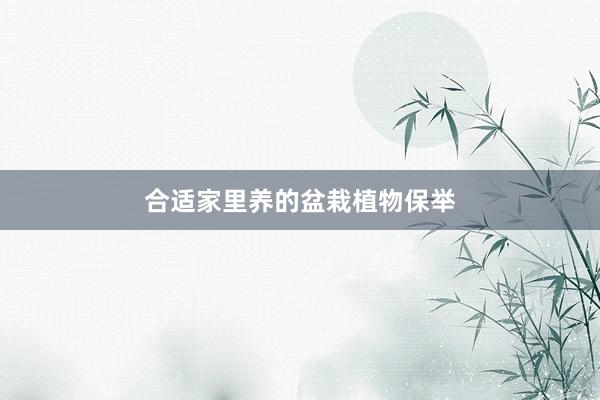 合适家里养的盆栽植物保举