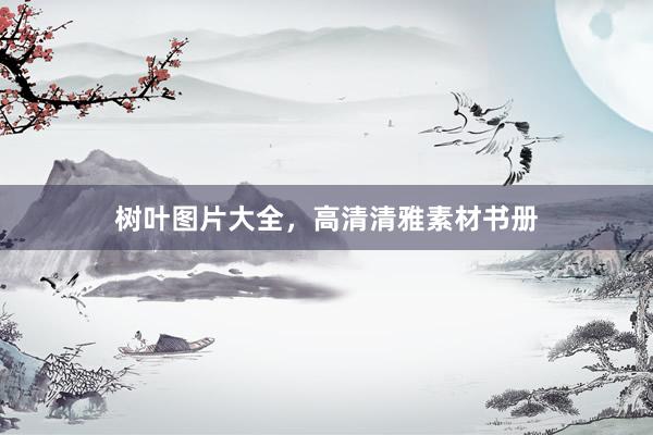 树叶图片大全，高清清雅素材书册
