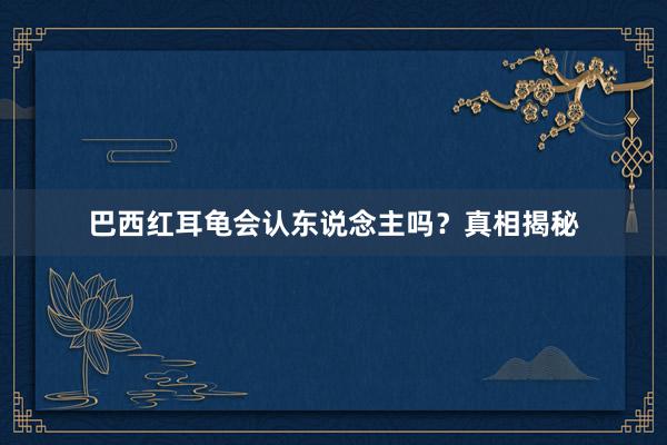 巴西红耳龟会认东说念主吗？真相揭秘